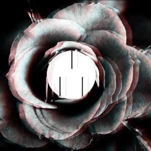 Meet your Posher, Guy